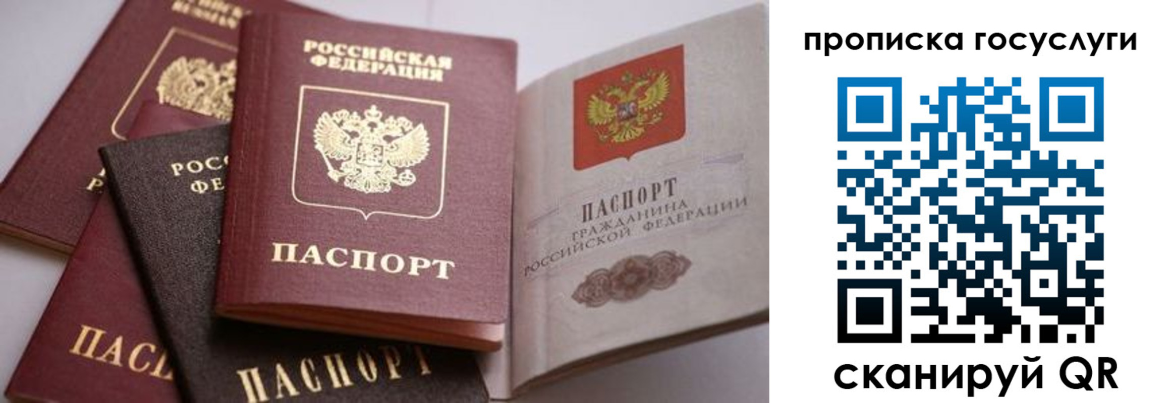 прописка иностранных граждан в Канске